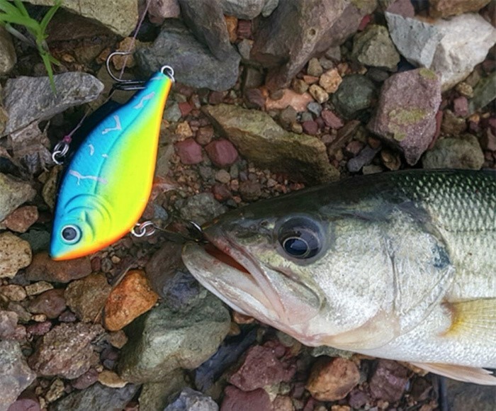 Lipless Crankbait Damiki Napjaru 60 28gr