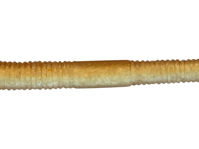 Wacky Worm Jackall Flick Shake 4.8” col. TC Wakasagi