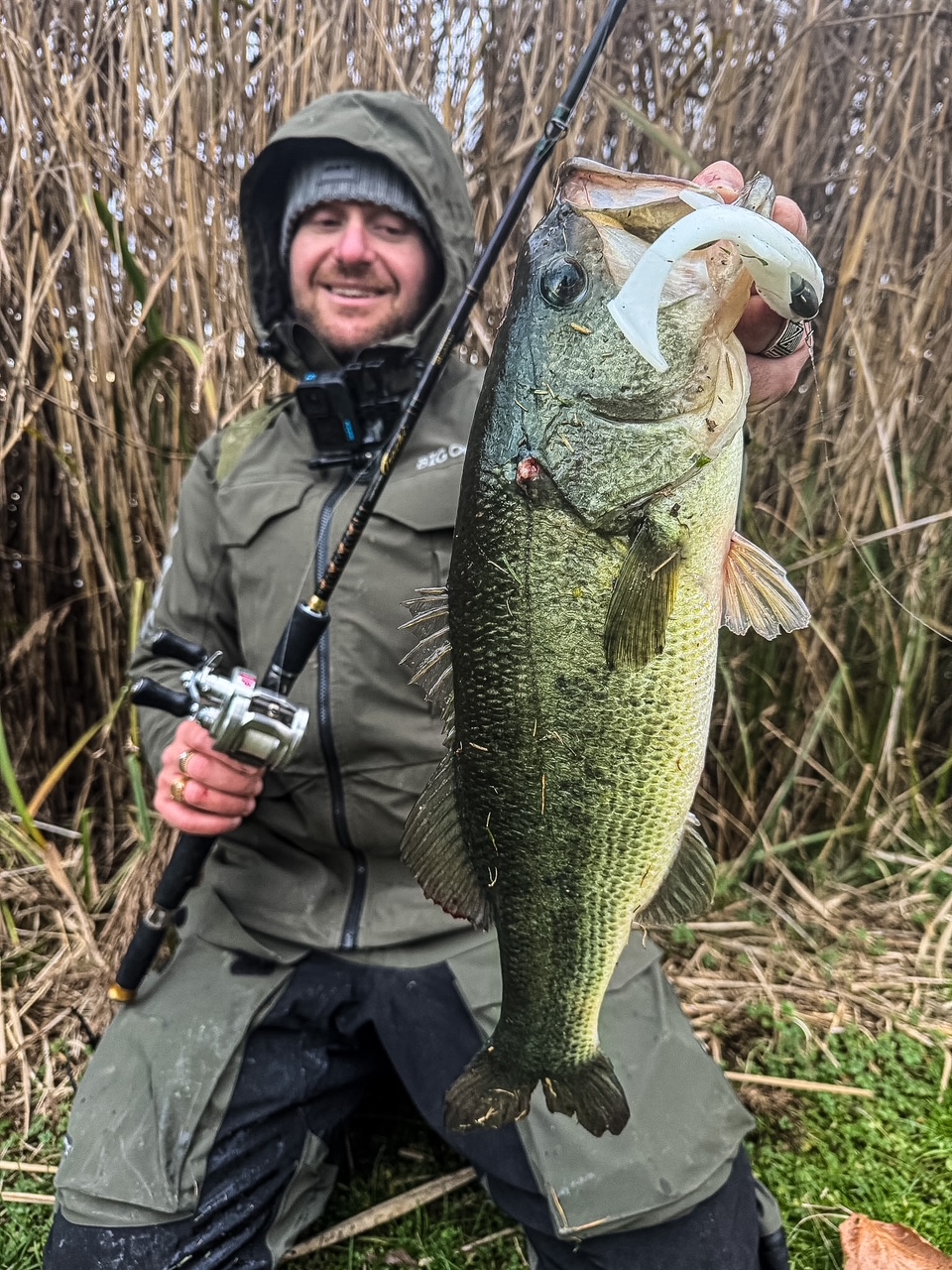 Soft Swimbait Veeu Snack Burno Shad Tail