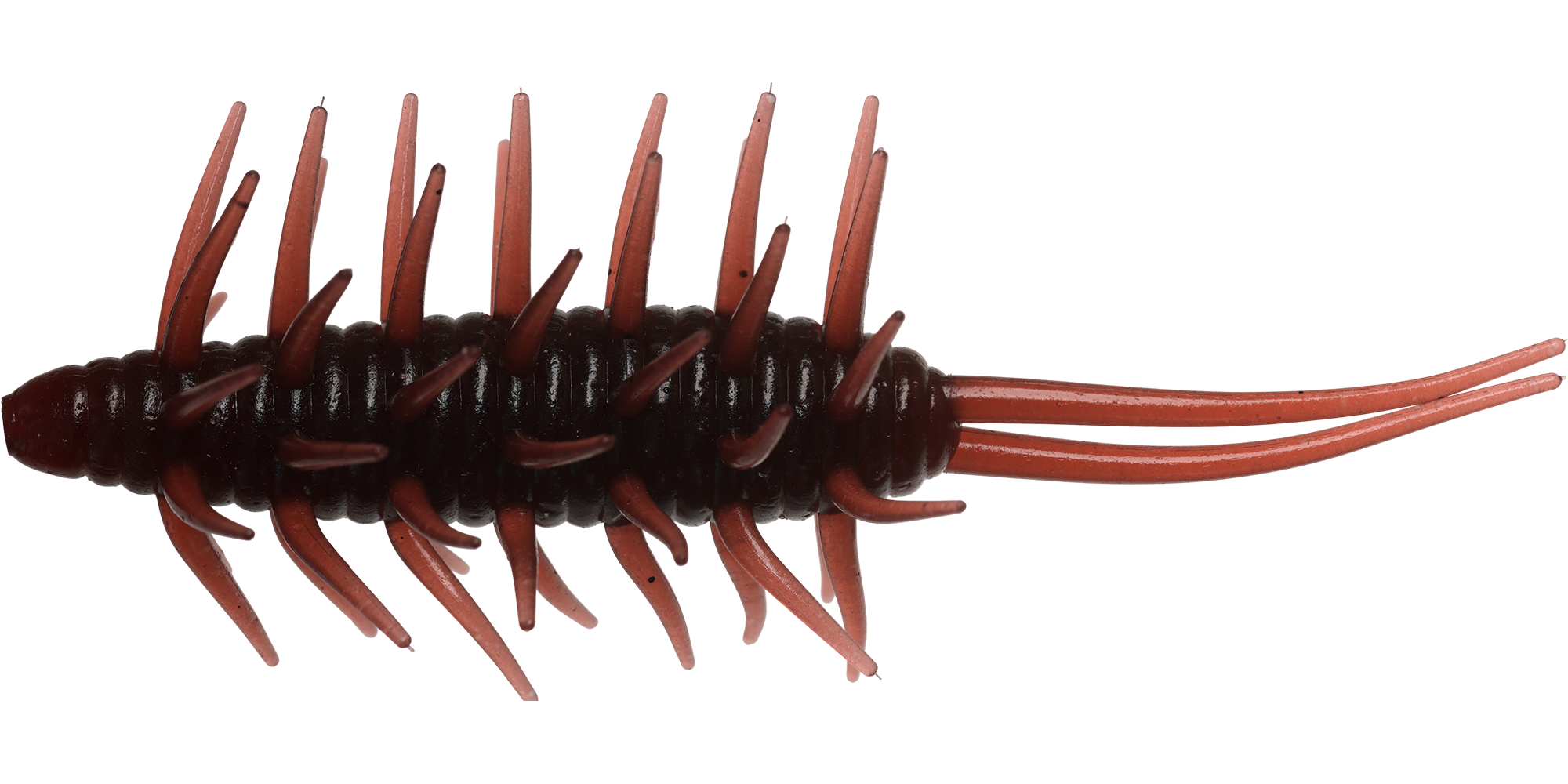 Softbait Hideup Coike Shrimp Big col. 156 Scuppernong