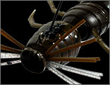 Artificiale Imakatsu Fujin Spider