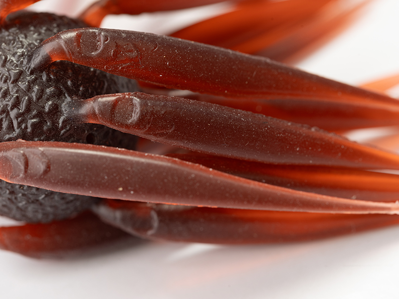 Softbait Hideup Coike Fish L Elastomer