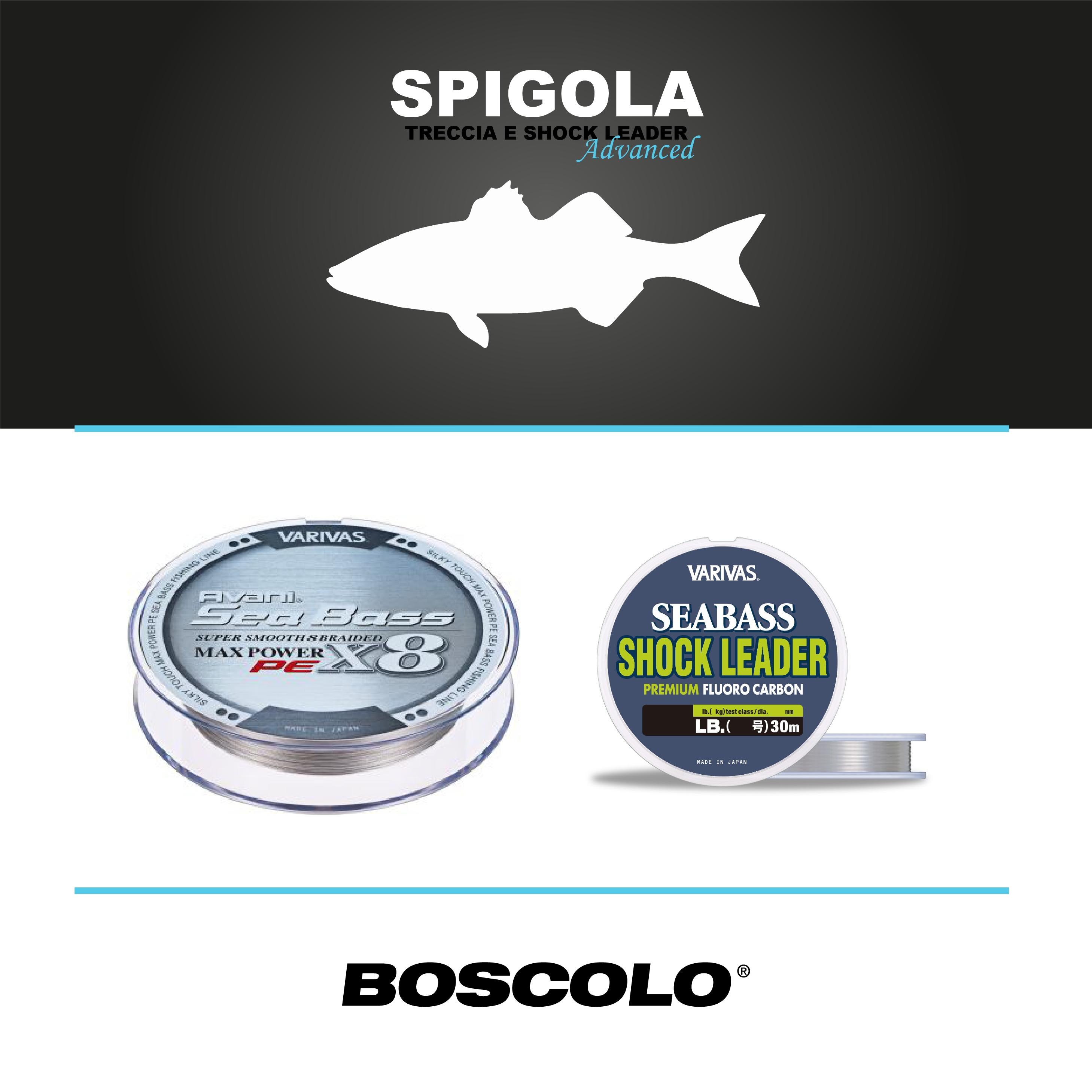 Box Filo Spigola Boscolo Sport Treccia e Fluorocarbon Leader (Advanced Pack)