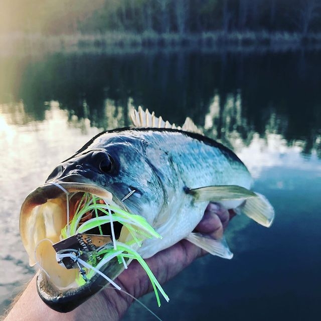 Wirebaits Z-Man The Original Chatterbait 1/2 oz