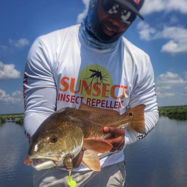 Soft Shad Z-Man Scented Pogyz 3"