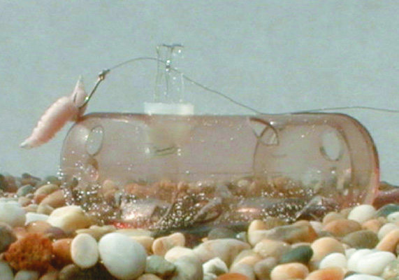 Swimfeeder Line Clip