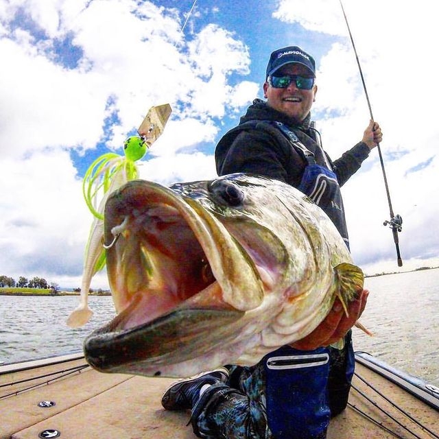 Wirebaits Z-Man Chatterbait Elite 1/2 oz (14 gr)