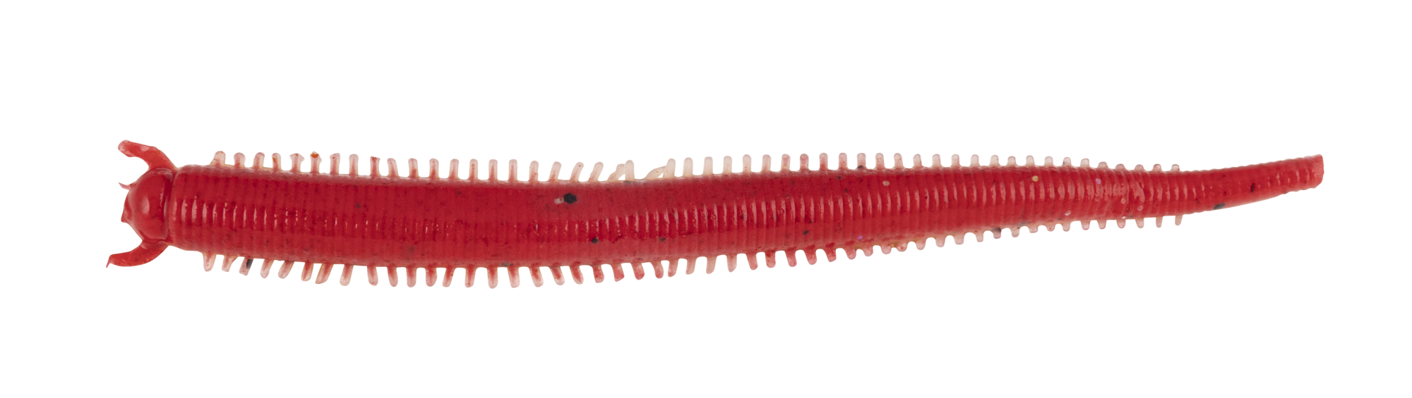 Verme Berkley Gulp Saltwater Fat Sandworm 4" col. Red Belly Shrimp