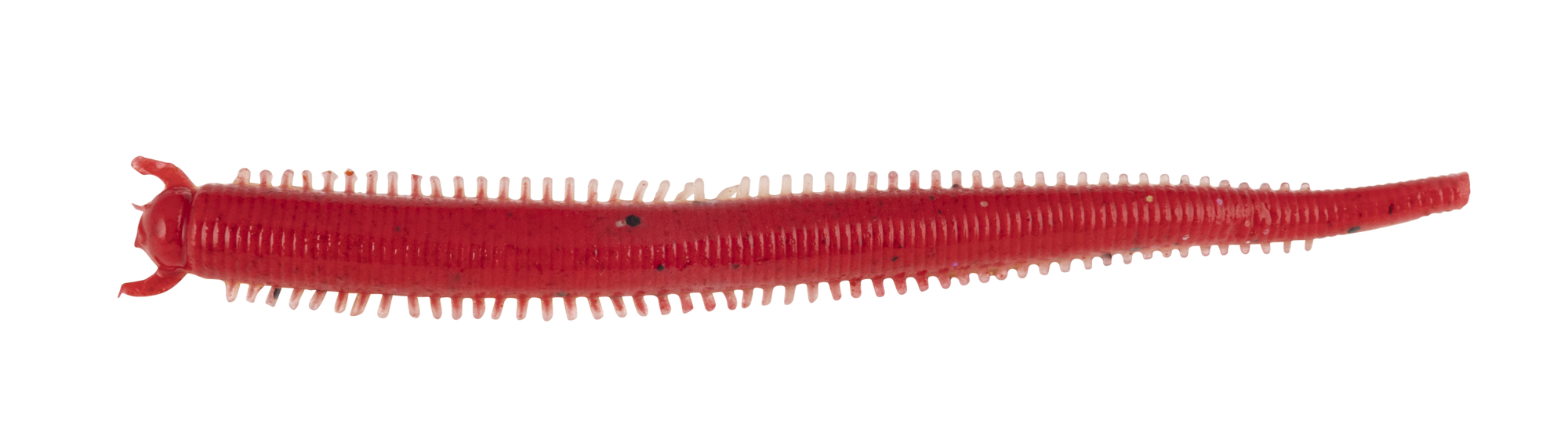 Verme Berkley Gulp Saltwater Fat Sandworm 4" col. Red Belly Shrimp Verme Berkley Gulp Saltwater Fat Sandworm 4" col. Red Belly Shrimp