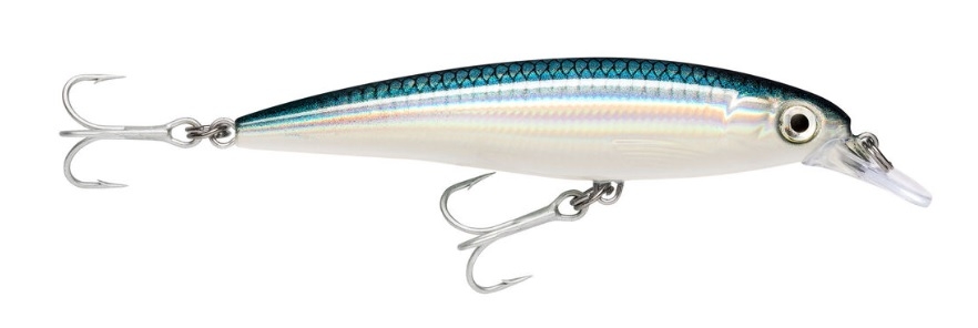 Jerkbait Rapala X-Rap Saltwater 10 cm col. Baitfish – SXR10BFH Jerkbait Rapala X-Rap Saltwater 10 cm col. Baitfish – SXR10BFH