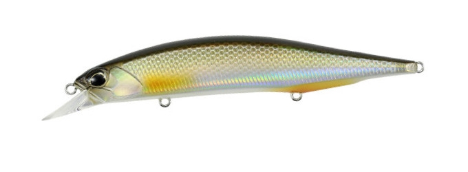 Realis Jerkbait 120 SP (Pike Limited) col. ANA3261 Silver Roach