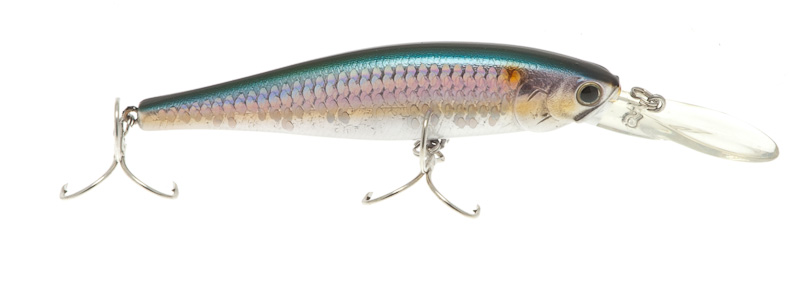 Jerkbait Lucky Craft B' Freeze 100 DD SW col. MS American Shad SW