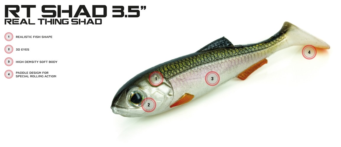 Artificiale Molix RT Shad 3.5” (Real Thing Shad)