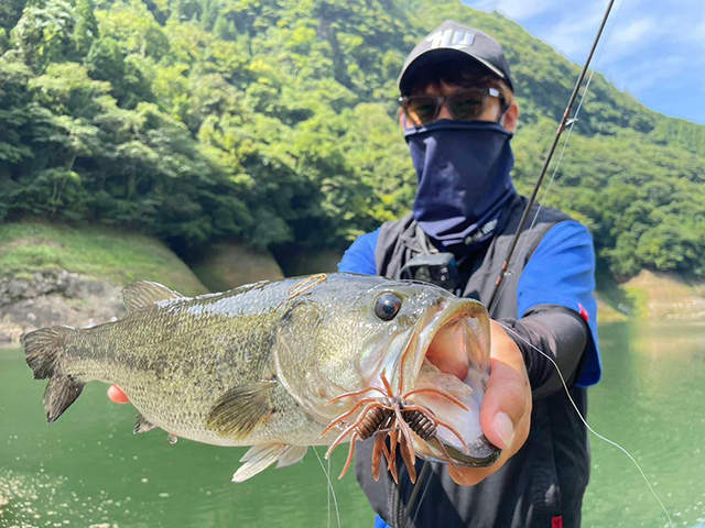 Softbait Hideup Coike Thunder L