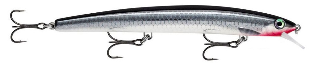 Jerkbait Rapala Max Rap 15 cm col. Live Baby Sea Bass - RAPMXR15BSBL