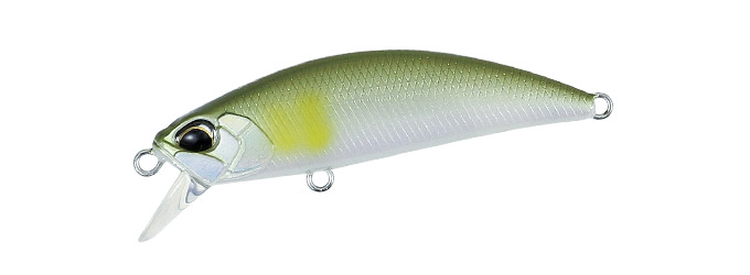 Ryuki 50 Sinking col.ANA4010 Pearl Ayu Ryuki 50 Sinking col.ANA4010 Pearl Ayu