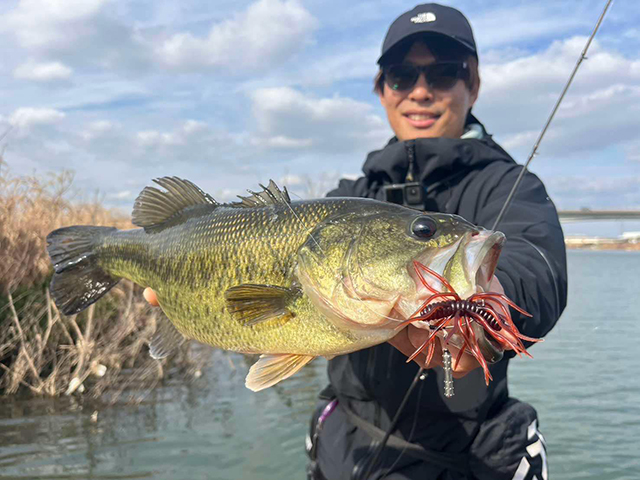 Softbait Hideup Coike Thunder L