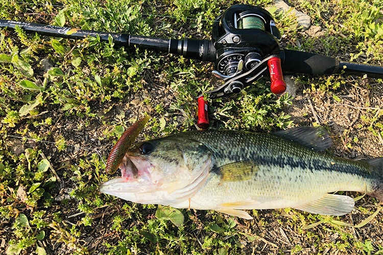 Worm Damiki Stinger 3”
