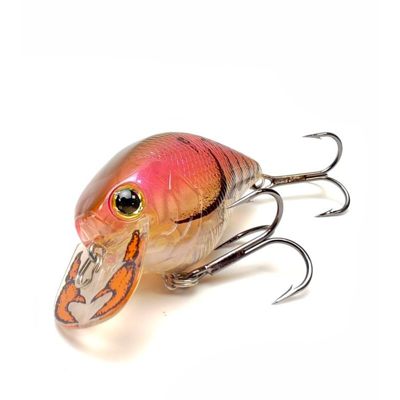 Square Bill Crankbait Lucky Craft Fat CB BDS 2