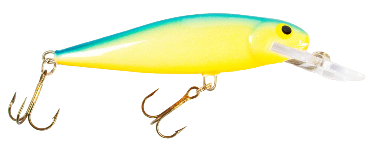 Minnow Salmo Roach 9 cm 16 g Floating