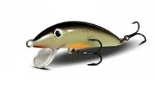 Minnow Real Winner MW A12 Aff. 12 cm col. GRO