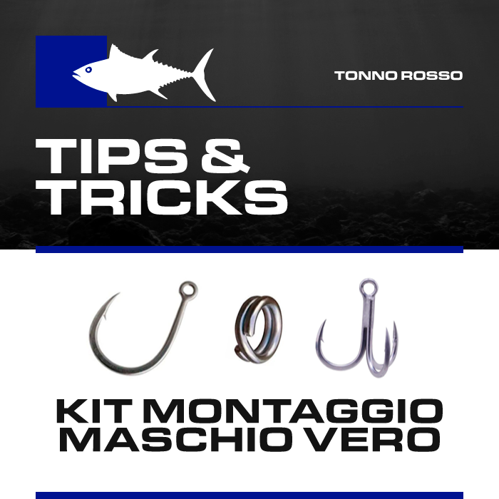 Box Tonno Boscolo Sport "Tips & Tricks" Kit Montaggio Maschio Vero Pack