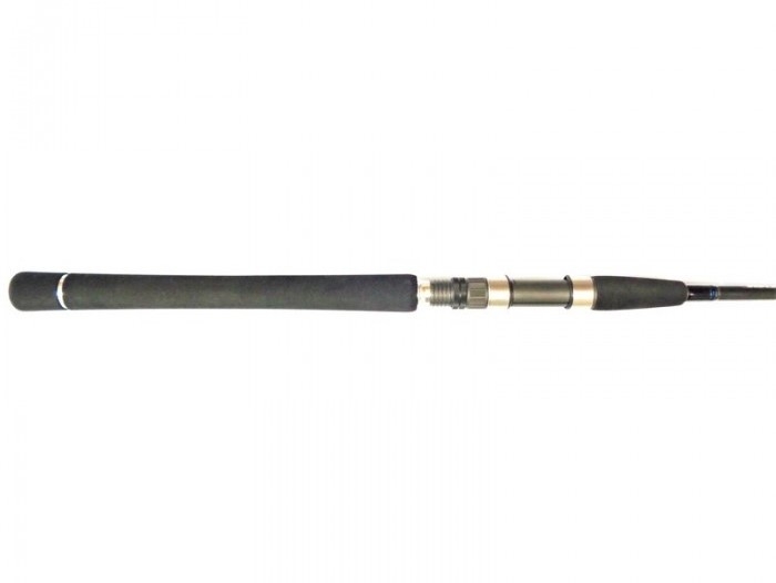 Canna Daiwa Saltist Inshore 