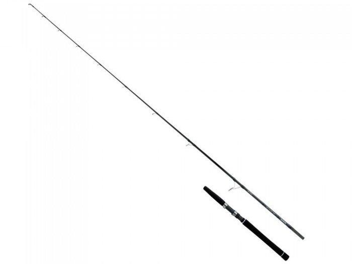 Canna Daiwa Saltist Inshore 