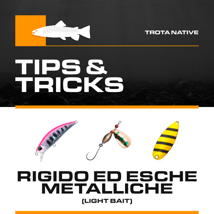 Box Trota Boscolo Sport "Tips & Tricks" Rigido ed Esche Metalliche (Light)