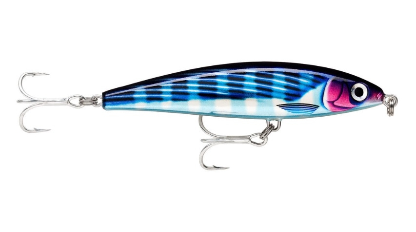 Jerkbait Rapala X-Rap Magnum Prey 10 XRMAGPR10-HDBTO