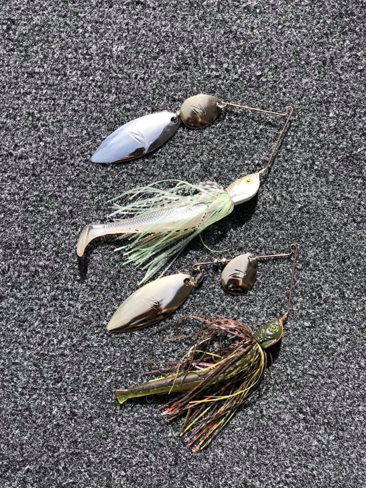 Wirebaits Z-Man Slingbladez Spinnerbait WC 3/4 oz