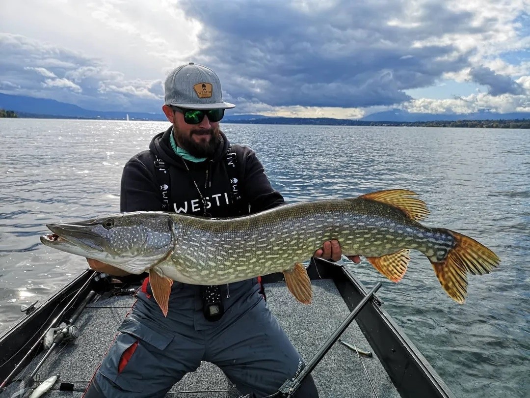 Felpa Westin Original Hoodie Black Felpa Westin Original Hoodie Black