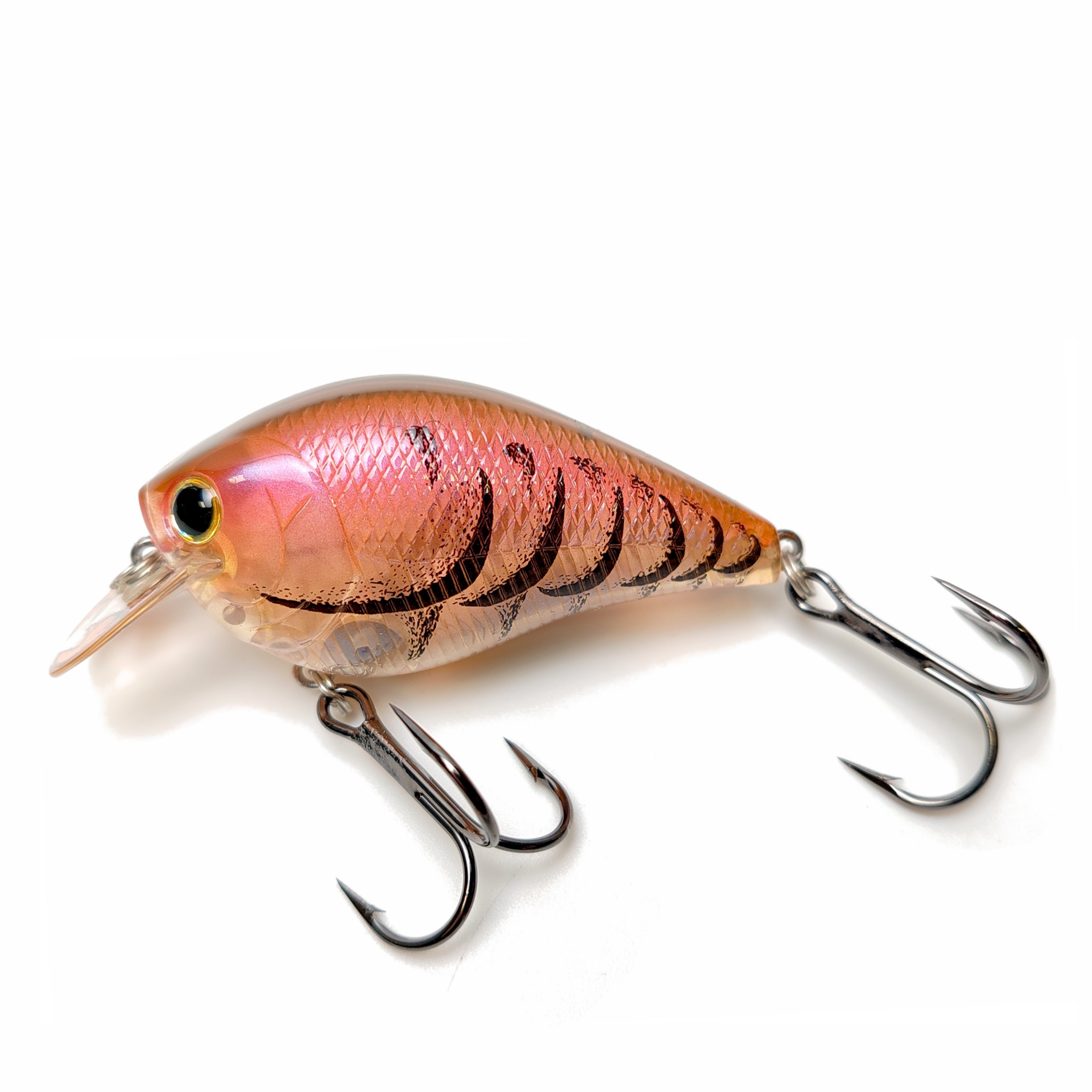 Square Bill Crankbait Lucky Craft Fat CB BDS 2