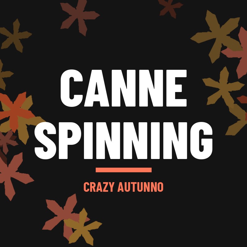 FreshWater > Canne > Canne Spinning