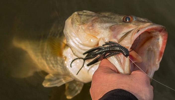 Creatura Berkley Powerbait Power Hawg 5”