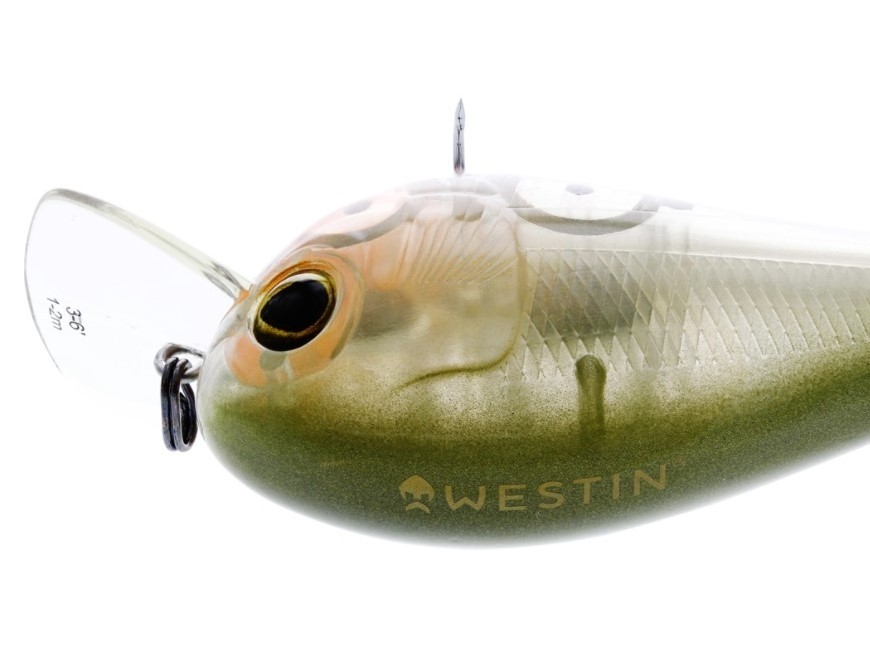 Crankbait Westin BassBite 1.5 Squarebill 6cm 13g F