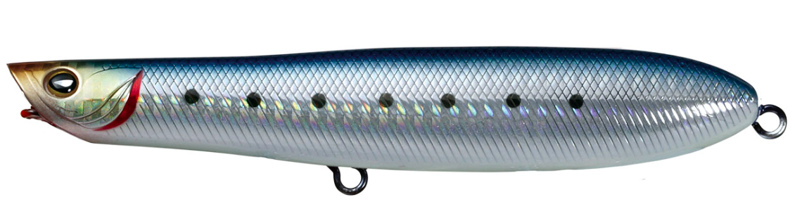 Pencil Popper Daiwa Morethan Scouter 110F col. Iwashi Pencil Popper Daiwa Morethan Scouter 110F col. Iwashi