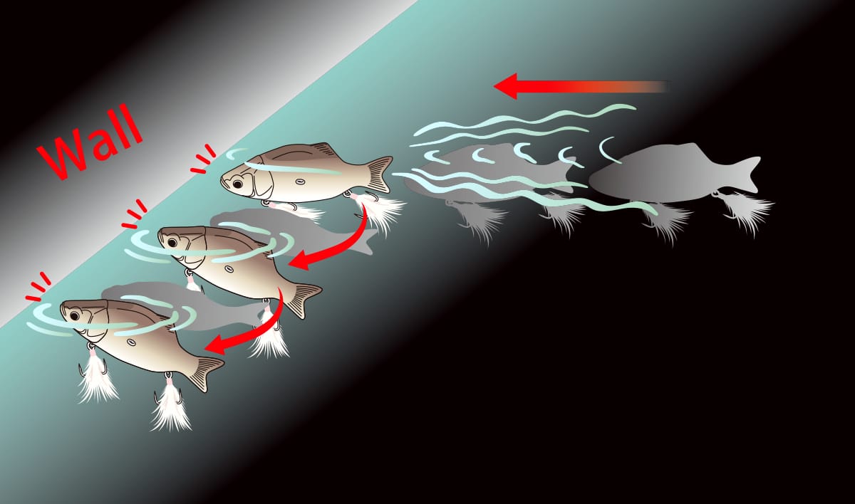 Slide Walking Bait Deps Killercompass