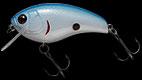 IK-50C col.105 Blue back shiner