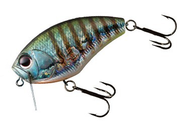 Topwater Crankbait OSP Daibuzzn' Heavy Hitter