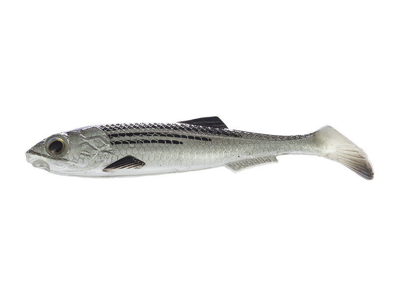 Artificiale Molix Real Thing Shad 3.5” col. 59 Mullet Artificiale Molix Real Thing Shad 3.5” col. 59 Mullet