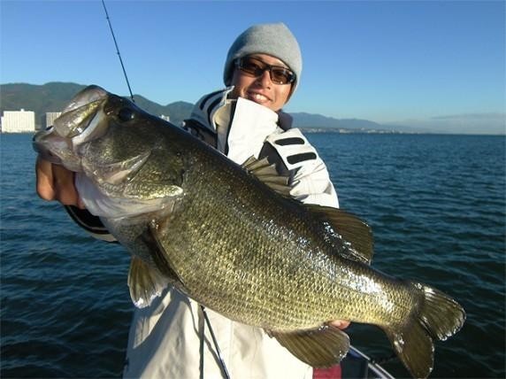 Spinnerbait Evergreen Sr Mini 3/8 oz DW