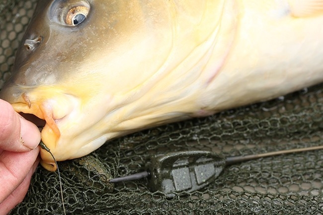 Piombo Korda Method Feeder 