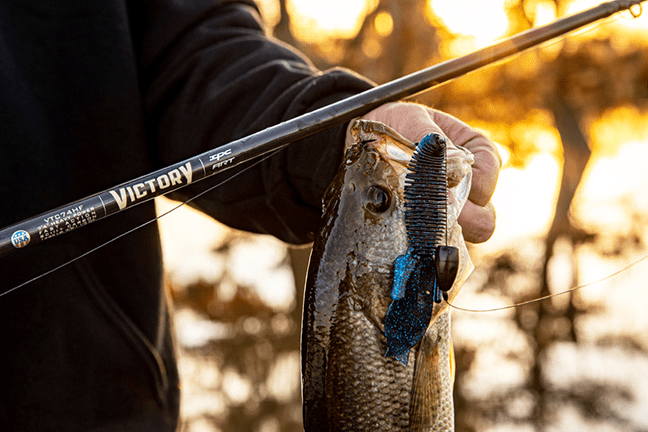 Canna St Croix Victory Casting