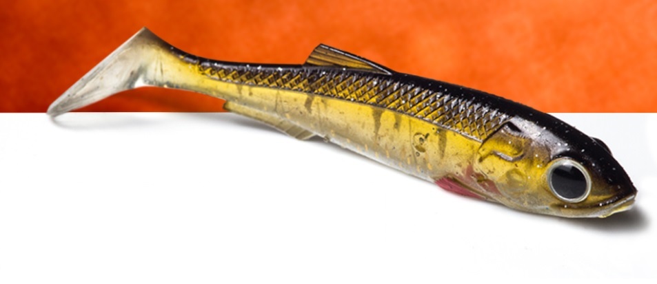 Artificiale Molix RT Shad 3.5” (Real Thing Shad)
