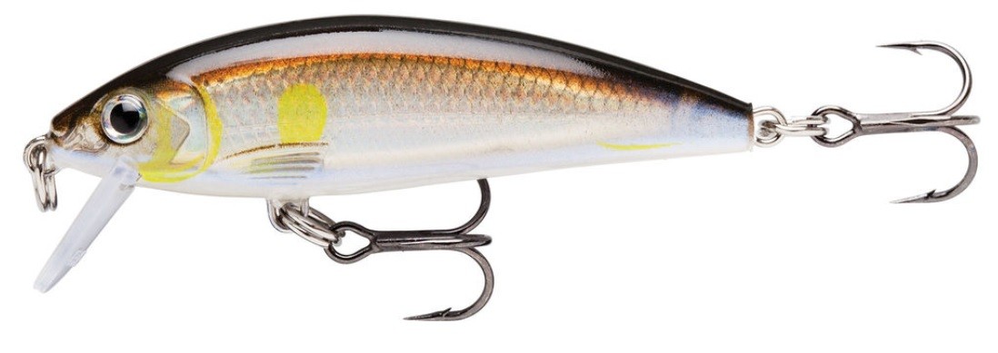 Minnow Rapala X-Rap Countdown 5 cm