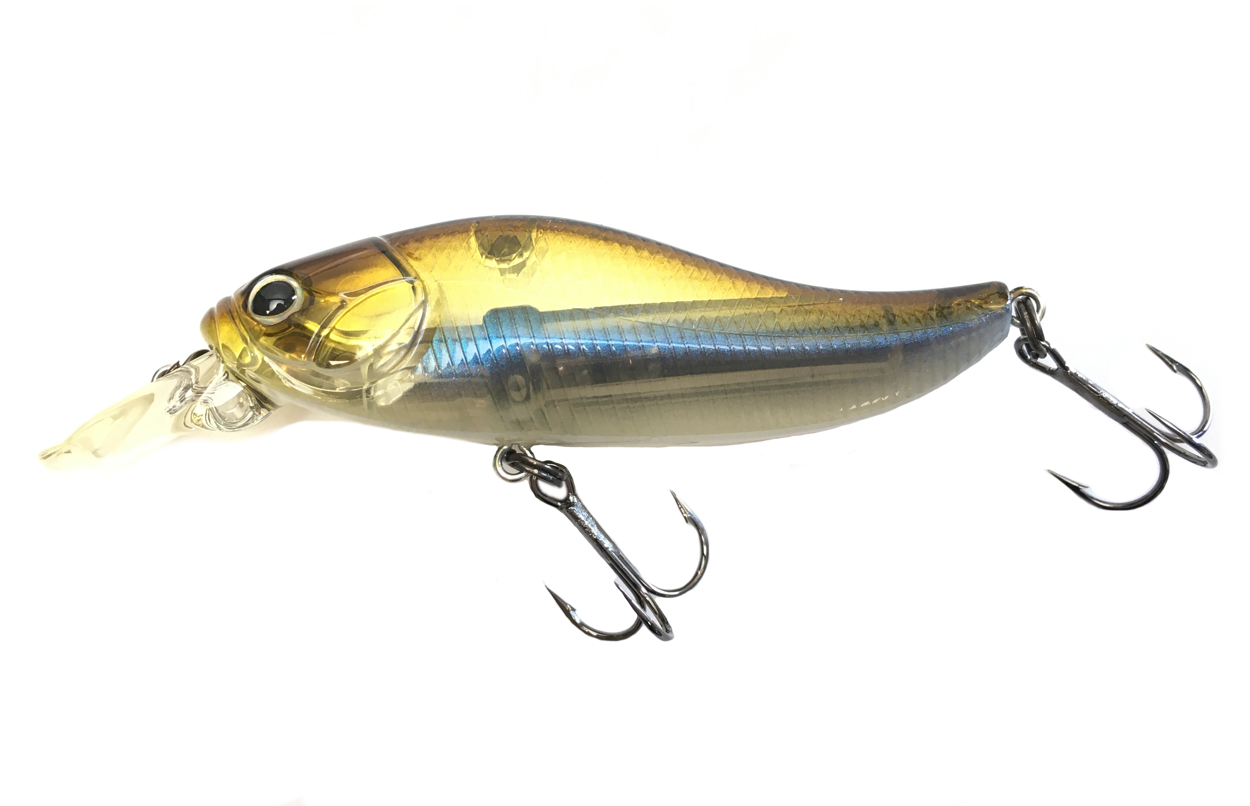 Minnow Evergreen Escarda