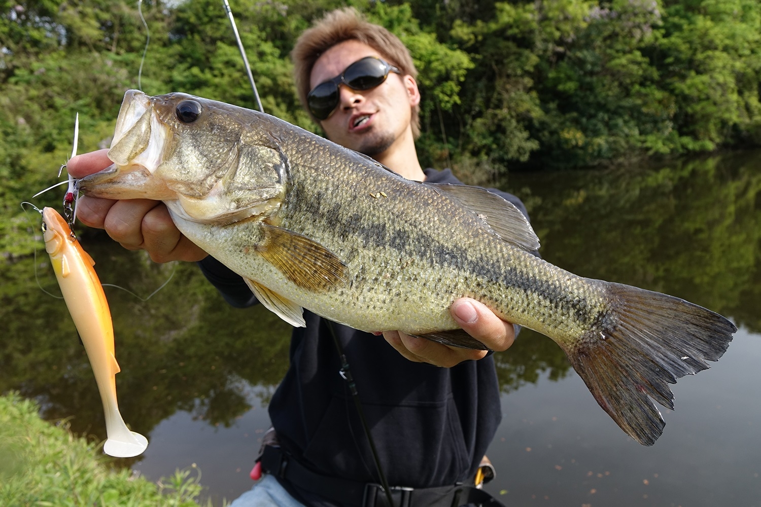 Soft Swimbait Megabass Magslowl 7”