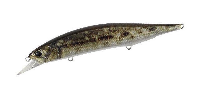 Minnow Duo Realis Jerkbait 120 SP col. CCCZ103 Goby ND