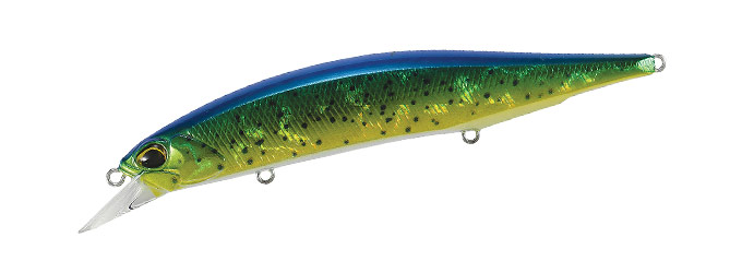 Realis Jerkbait 120 SP (SW Limited) col. ADA0150 Dorado HD